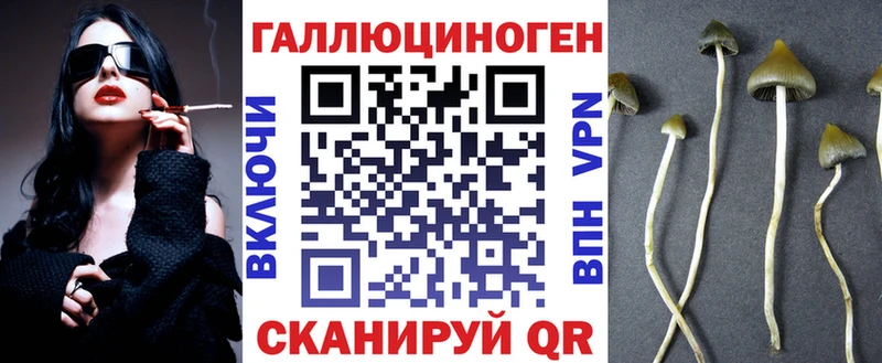 Купить где  Клинцы  Галлюциногенные грибы прущие грибы 