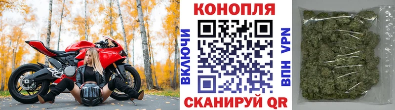 Конопля ГИДРОПОН  Купить закладки  Клинцы 